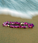 Plumeria lei and wave on the beach.
