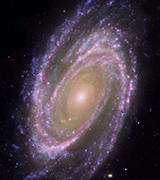 M81 Galaxy from the Hubble telescope.